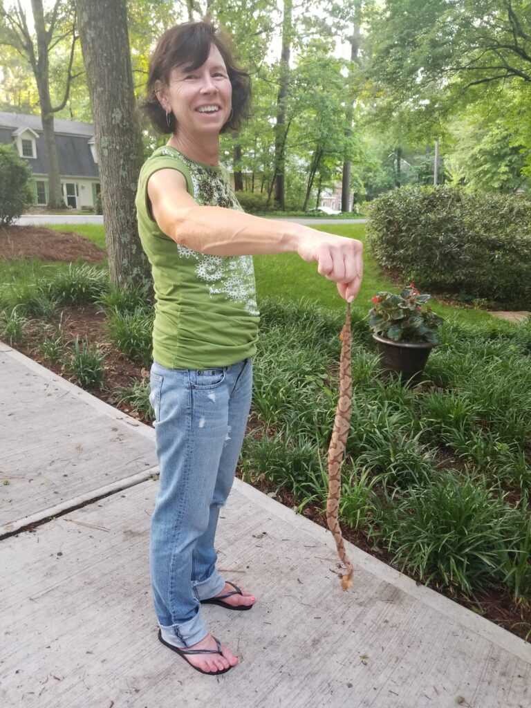 Jennifer Clair holding a dead copperhead snake